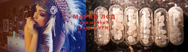 гидра Алексин
